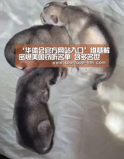 ‘华体会官方网站入口’维基解密爆美国窃听名单 含多名世界主要领导人(图2) 华体会app