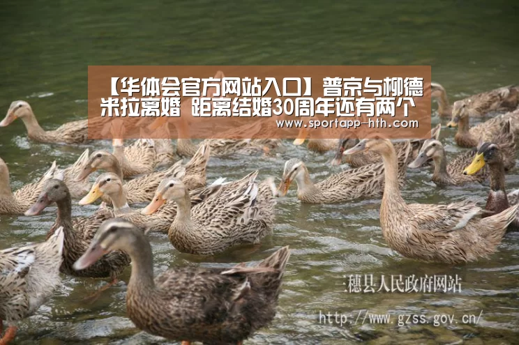 华体会体育app下载